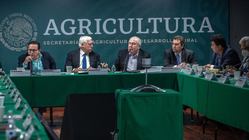 Prevé Agricultura alza en la producción de maíz, con 28.9 millones de toneladas al cierre del año agrícola 2022