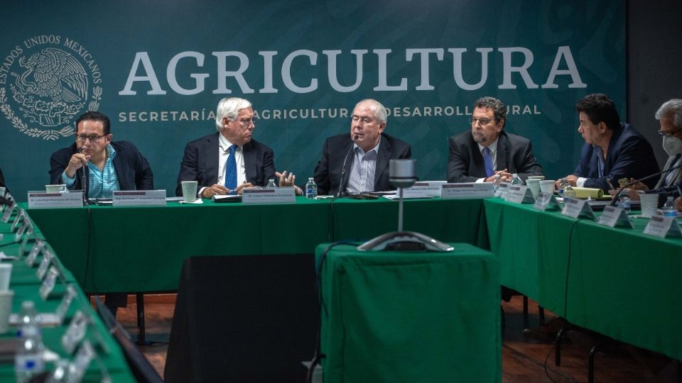 En el encuentro con productores y representantes de los sistemas Producto Maíz, Frijol, Trigo, Arroz, Sorgo y Oleaginosas, el titular de Agricultura, Víctor Villalobos Arámbula, reconoció la suma de capacidades del sector primario para ser más productivo y ampliar la oferta