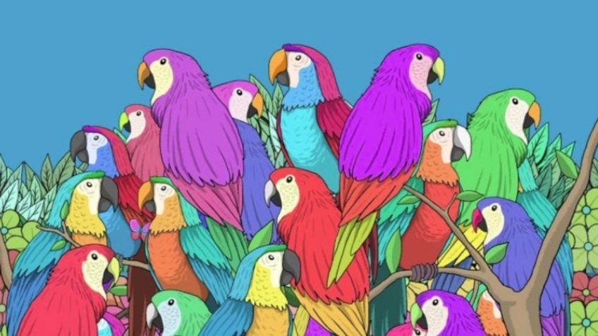 Acertijo Visual: Encuentra la MARIPOSA entre las guacamayas en 5 segundos y prueba tu inteligencia; solo el 2% lo logra