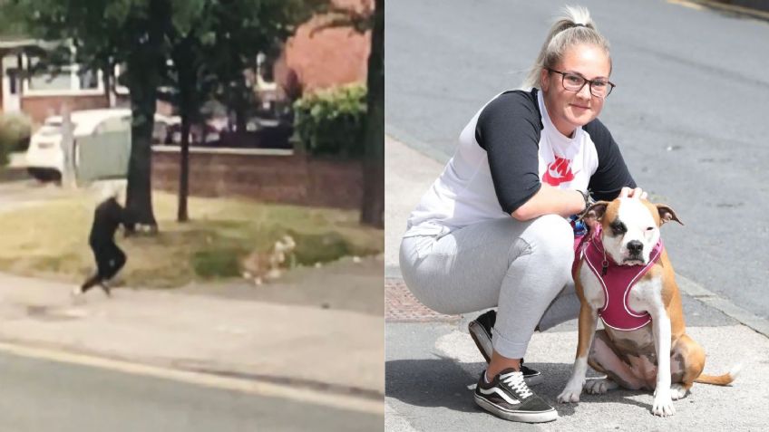 Perrito arriesga su vida para salvar a su dueña de una camioneta | VIDEO