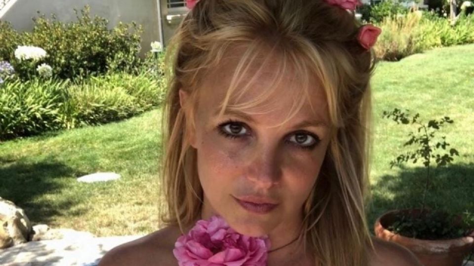 Britney Spears ha conquistado la red con sus looks en bikini.