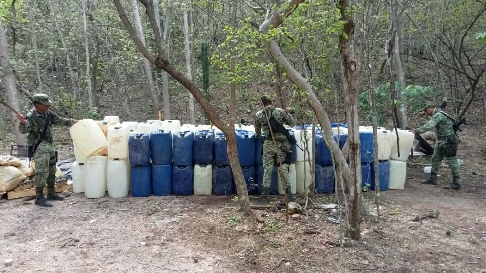 Las Fuerzas Armadas actúan contra el crimen organizado