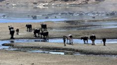 Sequías en el mundo son un problema constante, ¿cuándo se quedará sin agua la humanidad?