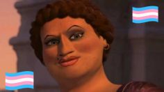 La historia de Doris, el personaje trans más querido de la saga de películas de Shrek |FOTO