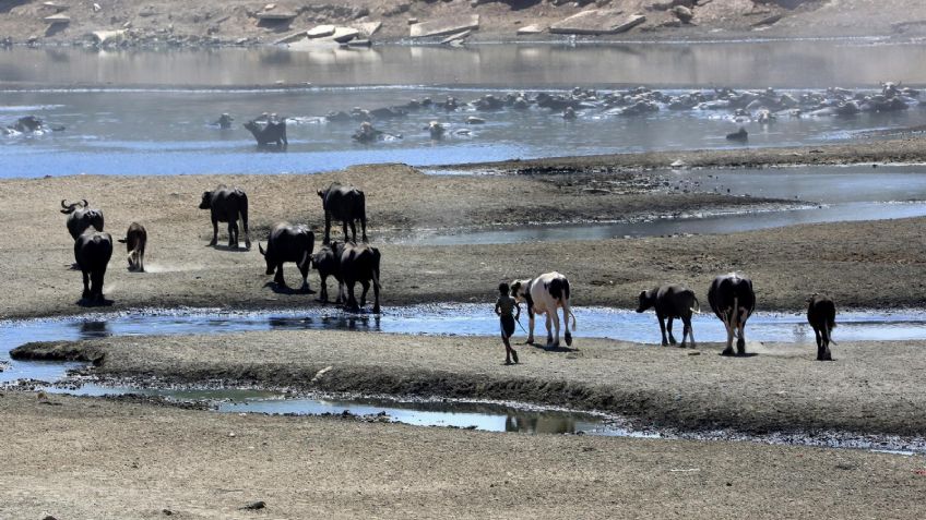 Sequías en el mundo son un problema constante, ¿cuándo se quedará sin agua la humanidad?