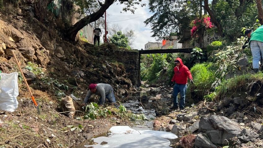 Xochimilco limpia sus barrancas para evitar desbordamientos