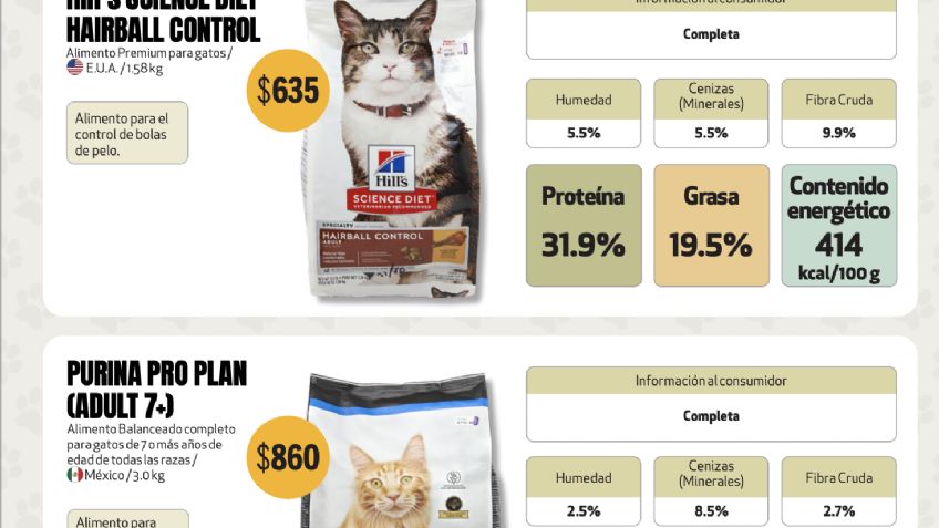 ¡Atención “Karen”! Estas son las mejores y peores croquetas para los gatitos según la Profeco