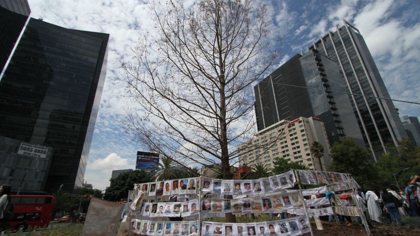 Ahuehuete de Reforma: ¿Qué le está pasando, por qué sus hojas son cafés?