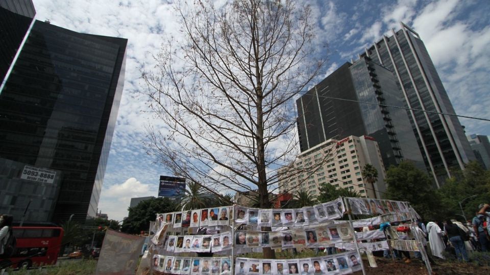 El árbol está pasando por un periodo de adaptación.