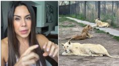 Paola Rojas niega estar en favor del maltrato animal tras críticas en redes | VIDEO