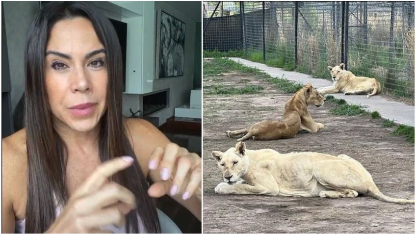 Paola Rojas niega estar en favor del maltrato animal tras críticas en redes | VIDEO