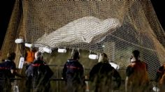 Muere ballena beluga de 800 kilos rescatada en el Sena