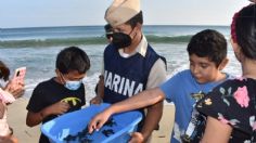 Tortugas golfinas son liberadas por niños en Oaxaca; la Marina trabaja en su conservación