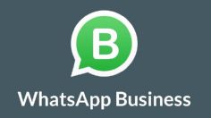 WhatsApp Business: qué es y cuales son los beneficios que ofrece sobre la versión normal