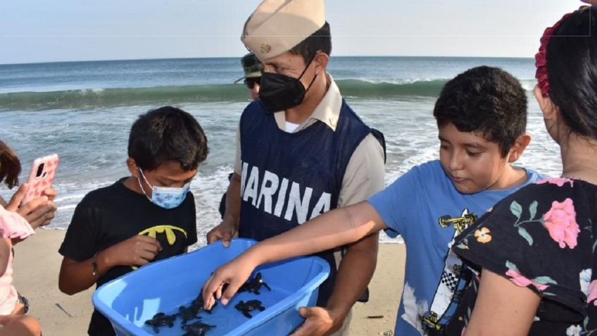 Tortugas golfinas son liberadas por niños en Oaxaca; la Marina trabaja en su conservación