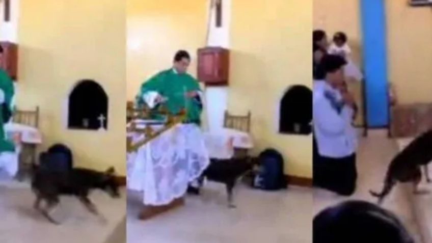 Video: Sacerdote causa indignación por patear a perrito que irrumpió en una misa