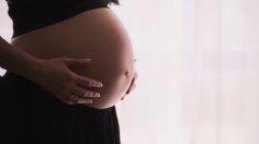 Viruela del mono: ¿Una embarazada puede contagiar a su bebé por la placenta?