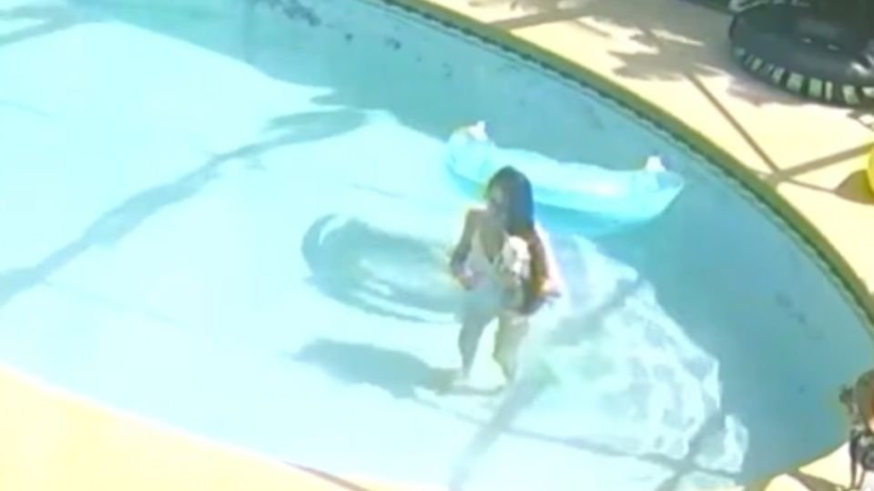 Black se sumerge a una piscina con su perro chihuahua en brazos y segundos después se arrodilla y sostiene al chihuahua bajo el agua