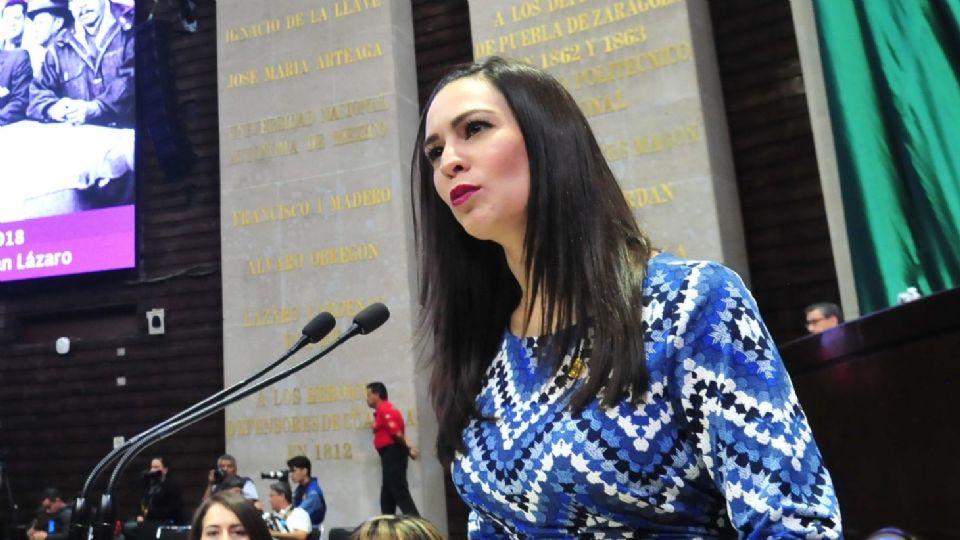 Karen Michel González presentó la propuesta