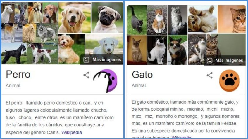 Google lanza adictiva función para llenar de huellas de lomito y michi tu pantalla