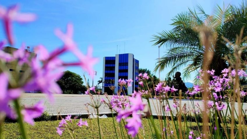 Nombran a gobernador garante solidario de la Universidad Autónoma de Nayarit