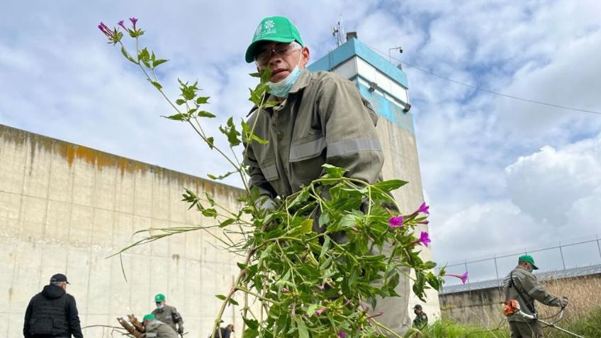 SSC-CDMX impulsa labor comunitaria contra reincidencia