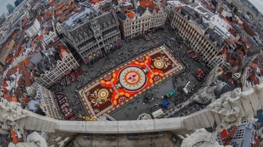 Roo Aguilar: Brilla tapete con 400 mil flores de la artista mexicana en Bruselas