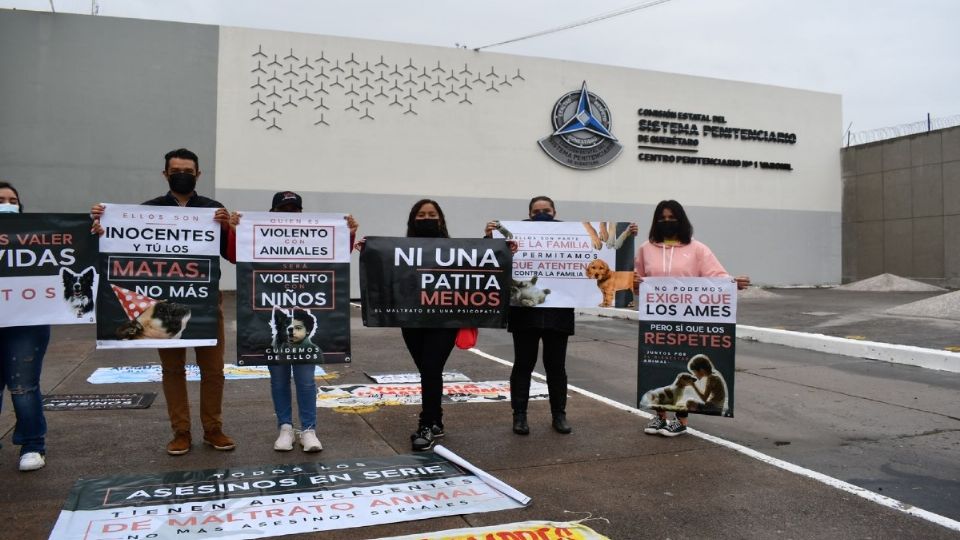 Se tiene previsto que la audiencia dure hasta el viernes.