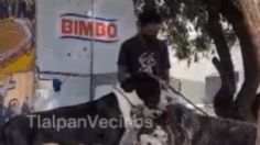 Maltrato animal en Tlalpan: Captan a hombre golpeando a perritos con una correa | VIDEO