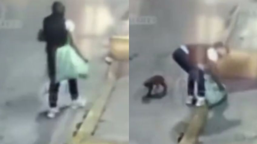 El indignante momento en que una mujer abandona a cinco perritos en calles de Chimalhuacán | VIDEO