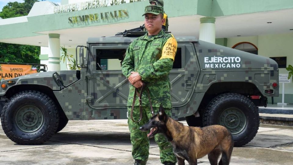 AMLO reconoce la labor de las fuerzas armadas para cuidar a la población.