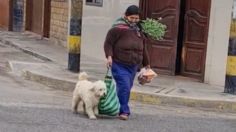 VIDEO: Perrito enternece en las redes por ayudar a su dueña a cargar bolsa del mandado