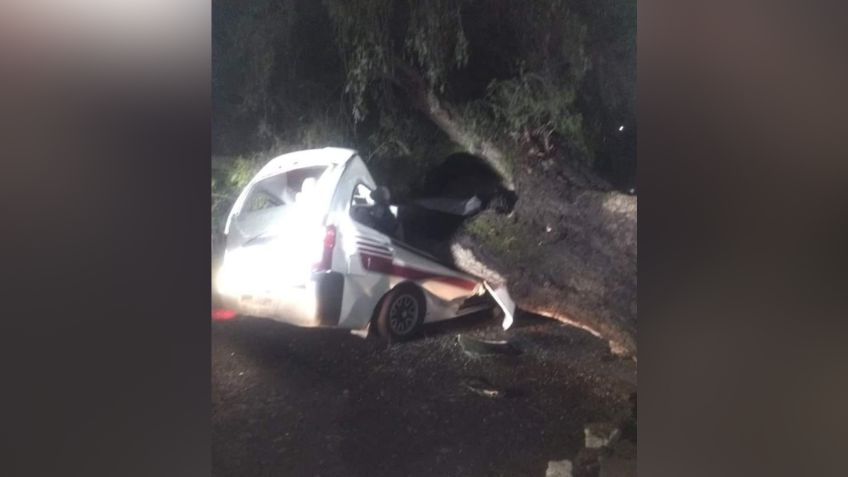 Tlalnepantla: Árbol cae sobre combi, el chofer murió y otra persona está herida