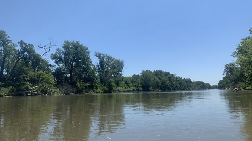 Niño muere después de nadar en un río de Nebraska, podría tratarse de una ameba "comecerebros"