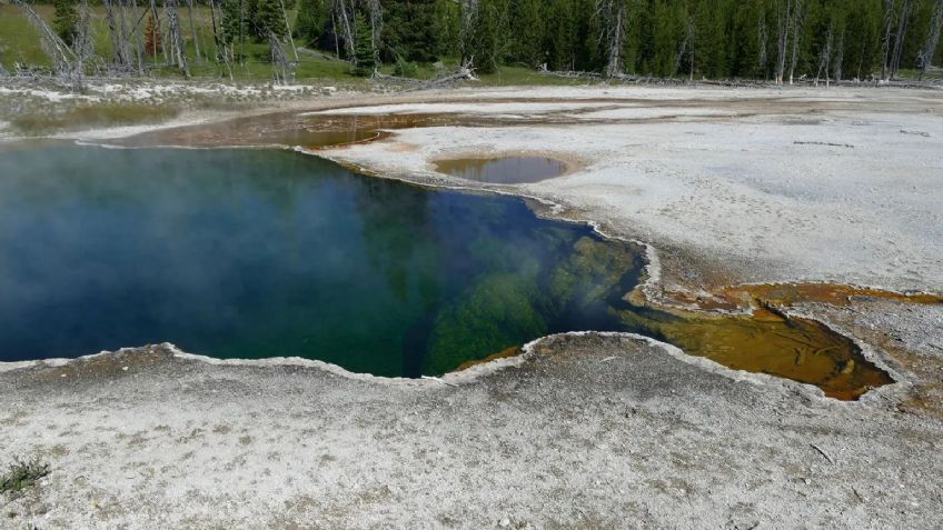 Aterrador: encuentran un pie humano flotando en aguas termales de Yellowstone