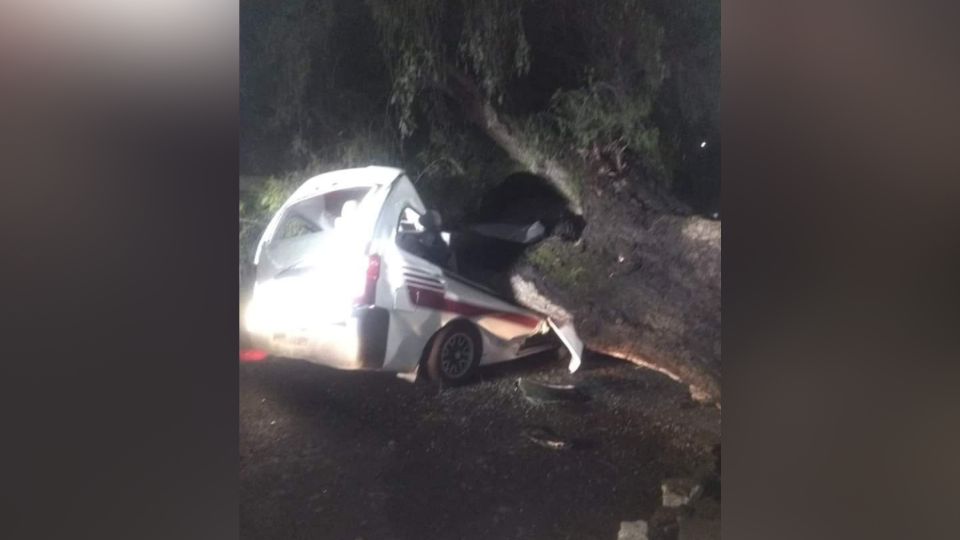 Una mujer y un hombre fueron sorprendidos por el árbol que cayó sobre el vehículo en el que viajaban.