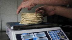 ¿Por qué ha aumentado el precio de la tortilla a 22 pesos? Estas son las razones