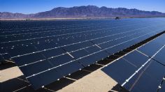 Empresa Next Energy sabía que no había permisos federales para planta solar en Mexicali