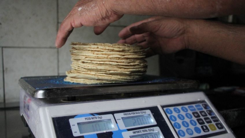 ¿Por qué ha aumentado el precio de la tortilla a 22 pesos? Estas son las razones