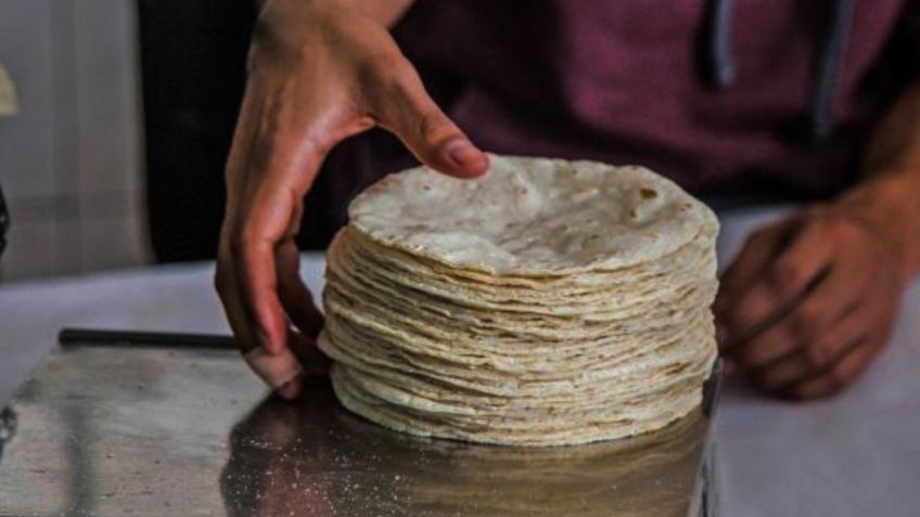 Tortillas "pirata": ¿Qué son y en qué lugares de México se incrementan los casos?