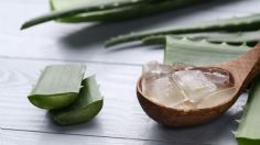 Aloe Vera, así puedes aliviar las quemaduras solares después del verano