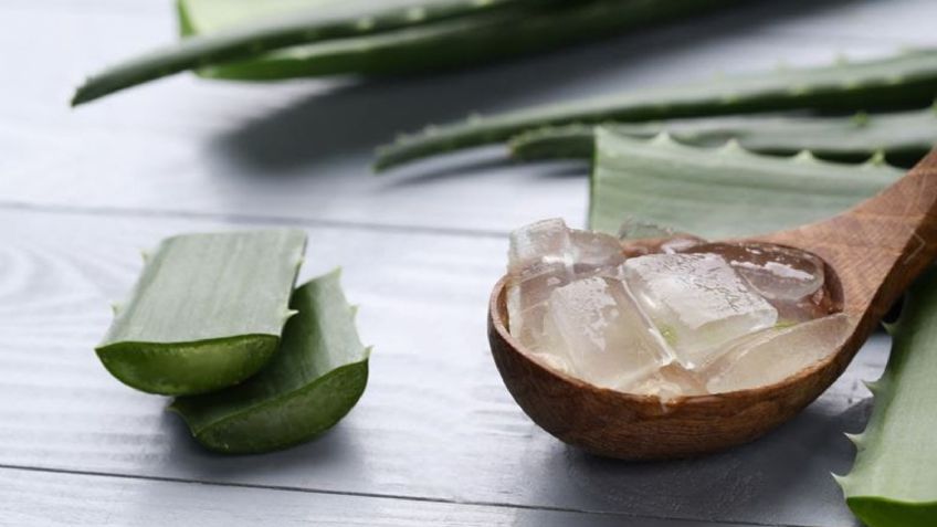 Aloe Vera, así puedes aliviar las quemaduras solares después del verano