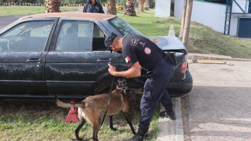 Capacitan a binomios caninos de policías municipales del interior del estado de Aguascalientes