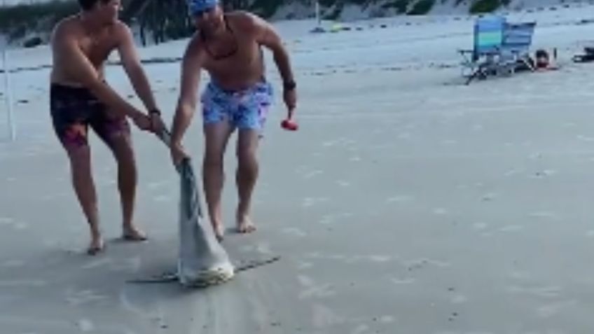 IMÁGENES FUERTES: Sujetos apuñalan y arrastran a un tiburón a la orilla de la playa