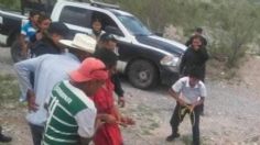 Profepa pide justicia para el osezno asesinado en Castaños, Coahuila