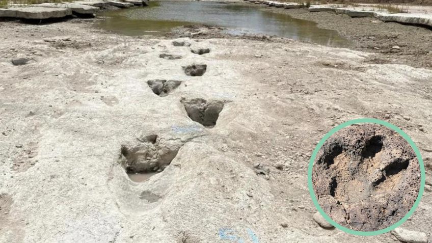 Sequía en río de Texas revela huellas de dinosaurios de hace 113 millones de años | FOTOS