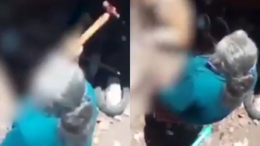 Indignación en Querétaro: sin piedad, anciana mata a martillazos a su perro | VIDEO FUERTE