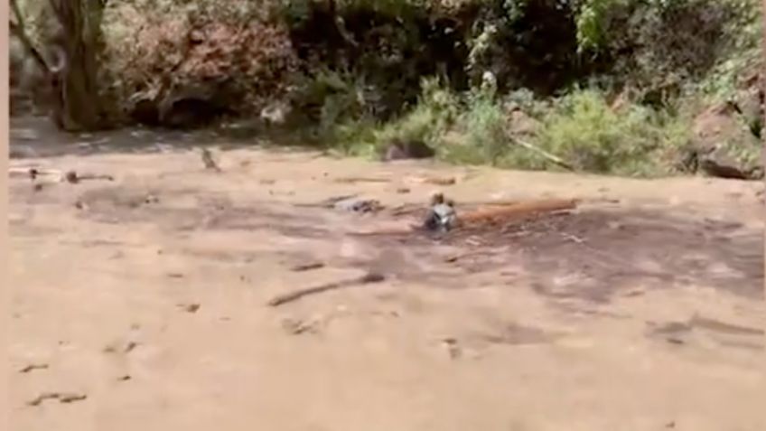 Tragedia en Arizona: Muere joven turista tras ser arrastrada por una torrente de agua fangosa | VIDEO