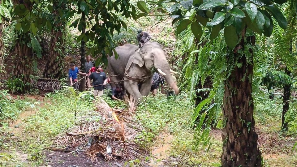 El animal estaba molesto por ser forzado a trabajar bajo el sol