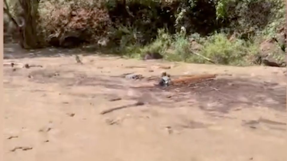 En el clip se aprecia a dos personas siendo arrastradas por la corriente de agua